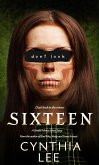 Sixteen (eBook, ePUB)