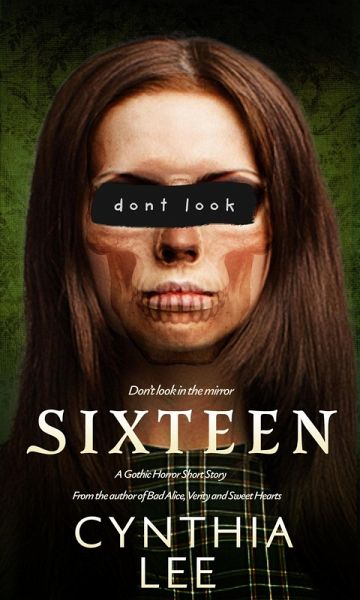 Sixteen (eBook, ePUB)