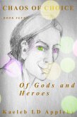 Chaos of Choice: Book Seven - Of Gods and Heroes (Chaos of Choice Saga, #9) (eBook, ePUB)