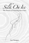 Silk on Ice (eBook, ePUB)