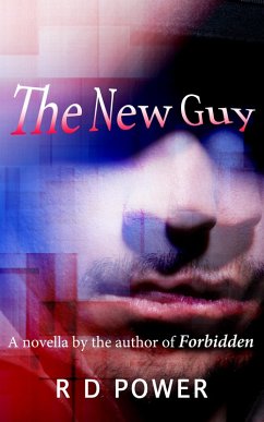 Cover The New Guy (eBook, ePUB)