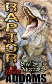 Raptor (eBook, ePUB)