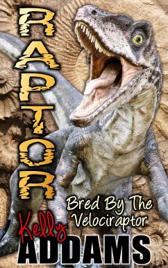 Raptor (eBook, ePUB) - Addams, Kelly