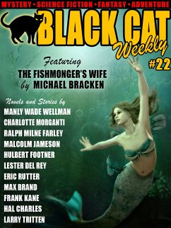 Black Cat Weekly #22 (eBook, ePUB) - Press, Wildside