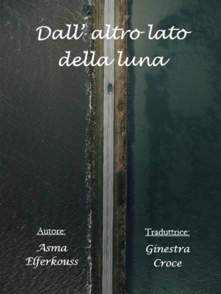 Dall' altro lato della luna (eBook, ePUB) Dall' altro lato della luna (eBook, ePUB)