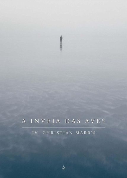 A Inveja das Aves (eBook, ePUB) A Inveja das Aves (eBook, ePUB)