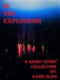 In The Explosions (eBook, ePUB)