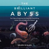 The Brilliant Abyss (MP3-Download)