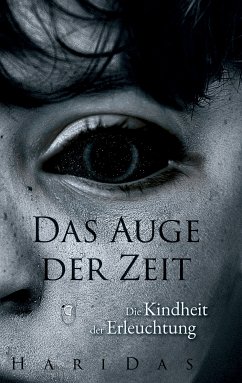 Das Auge der Zeit (eBook, ePUB)