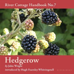 Hedgerow (MP3-Download) - Wright, John