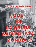 ¿Qué es la crisis capitalista mundial? (eBook, ePUB)