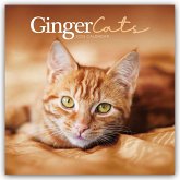 Ginger Cats - Rothaarige Katzen 2025 - Wand-Kalender