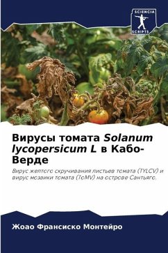 Virusy tomata Solanum lycopersicum L w Kabo-Verde - Montejro, Zhoao Fransisko