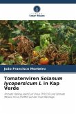 Tomatenviren Solanum lycopersicum L in Kap Verde