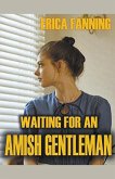Waiting for an Amish Gentleman
