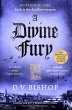 A Divine Fury - Bild 1