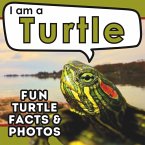 I am a Turtle