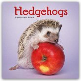 Hedgehogs - Igel 2025 - Wand-Kalender