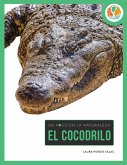 Cocodrilo