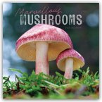 Mushrooms - Pilze 2025 - Wand-Kalender Mushrooms - Pilze 2025 - Wand-Kalender