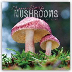 Marvellous Mushrooms Square Wall Calendar 2025 - Carousel Calendar