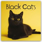 Black Cats - Schwarze Katzen 2025 - Wand-Kalender