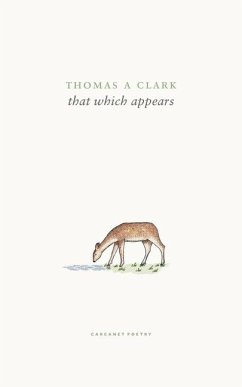 that which appears - Clark, Thomas A