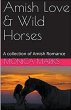 Amish Love & Wild Horses - Bild 1