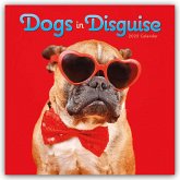 Dogs in Disguise Square Wall Calendar 2025