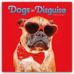 Dogs in Disguise Square Wall Calendar 2025 - Carousel Calendar