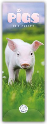 Pigs - Ferkel - Schweinchen 2025 - Slimline-Kalender - Carousel Calendar