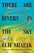 There Are Rivers in the Sky - Bild 1