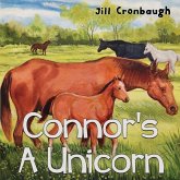 Connor's A Unicorn Connor's A Unicorn