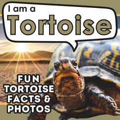 I am a Tortoise - Brains, Active