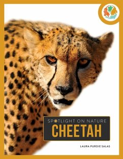 Cheetah - Salas, Laura