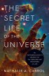 The Secret Life of the Universe - Bild 1