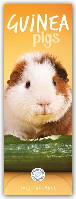 Guniea Pigs - Meerschweinchen 2025 - Slimline-Kalender - Carousel Calendar