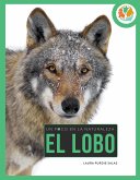 Lobo