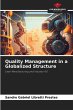 Quality Management in a Globalized... - Bild 1