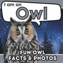 I am an Owl - Brains, Active