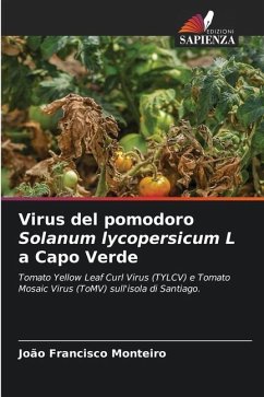 Virus del pomodoro Solanum lycopersicum L a Capo Verde - Monteiro, João Francisco