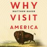 Why Visit America (MP3-Download) - Bild 1
