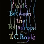I Walk Between the Raindrops (MP3-Download)