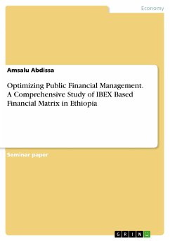 Optimizing Public Financial Management. A Comprehensive Study of IBEX Based Financial Matrix in Ethiopia (eBook, PDF)