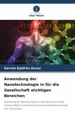 Anwendung der Nanotechnologie in für die Gesellschaft wichtigen Bereichen - Assey, Gervas Epafras