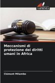 Meccanismi di protezione dei diritti umani in Africa