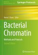Bacterial Chromatin - Bild 1