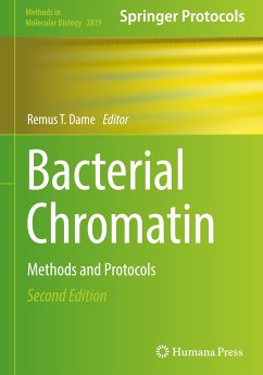 Bacterial Chromatin