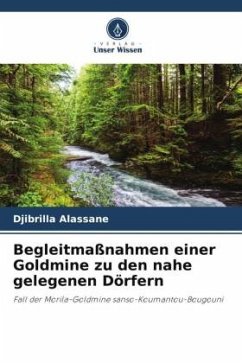 Begleitmaßnahmen einer Goldmine zu den nahe gelegenen Dörfern - Alassane, Djibrilla