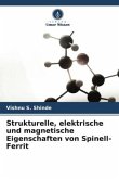 Strukturelle, elektrische und magnetische Eigenschaften von Spinell-Ferrit